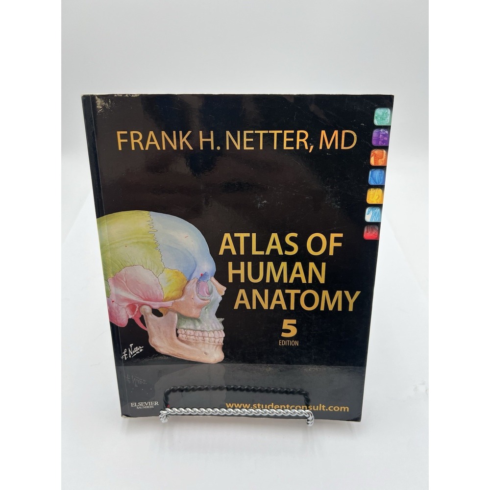 Frank H Netter Atlas of Human Anatomy 5th Ed Paperback 2010 Clean Unmarked